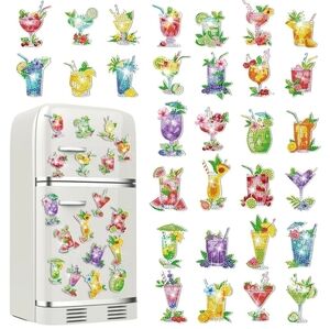 Colorful Cocktail Fridge Magnets